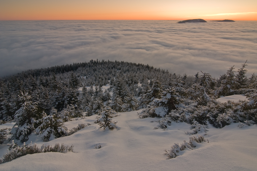 Lysá hora, 1/2010