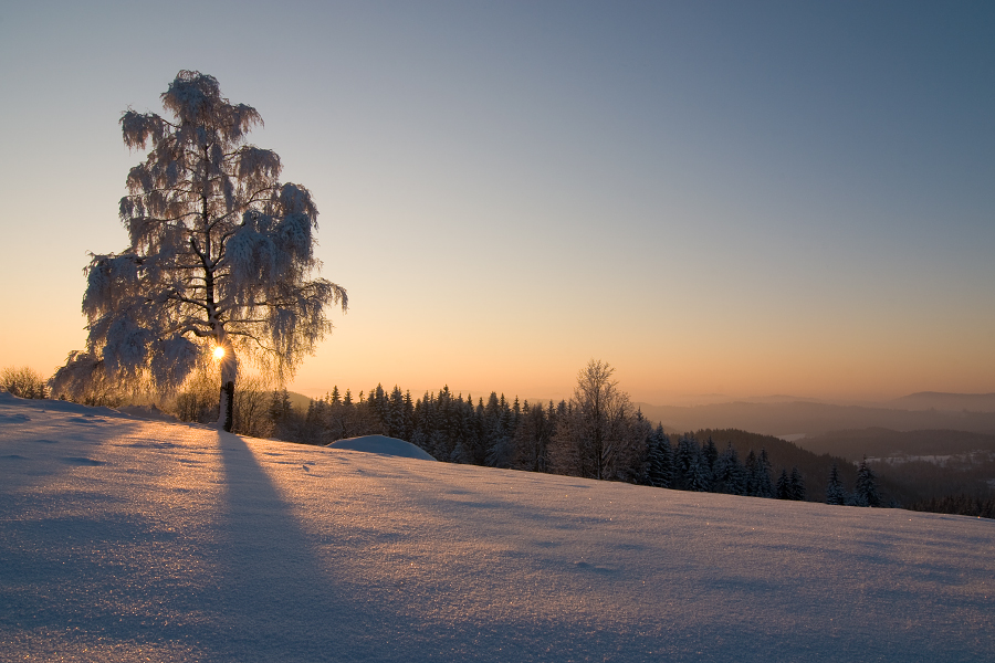 Konečná - Zadní hory, 1/2011