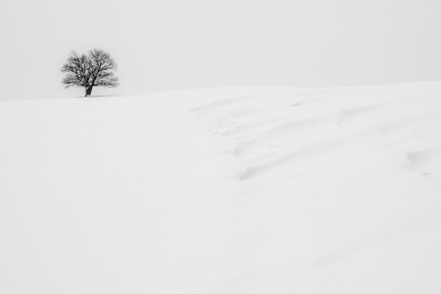 Měrkovice, 2/2013