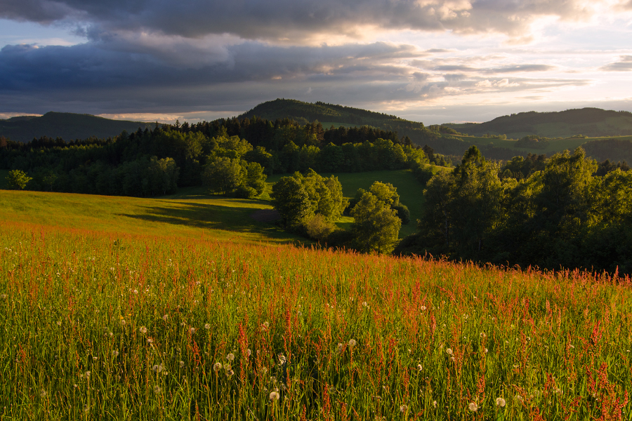 Videčské Paseky, 5/2013