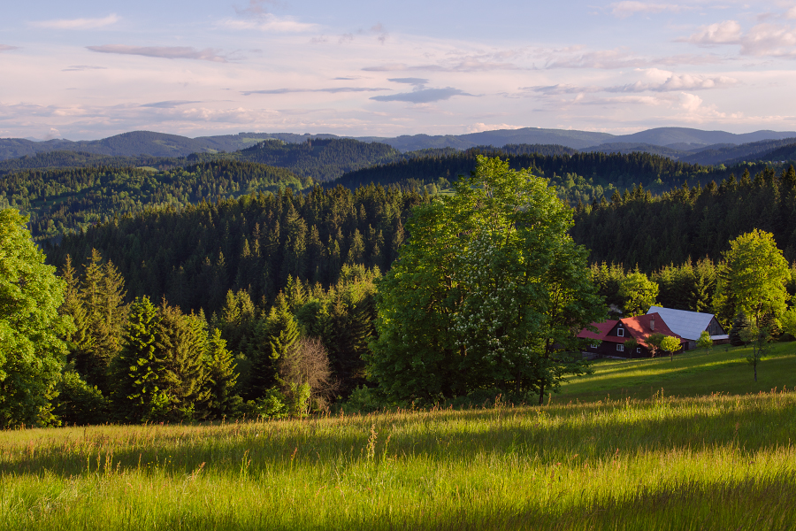 Konečná - Zadní hory, 5/2013