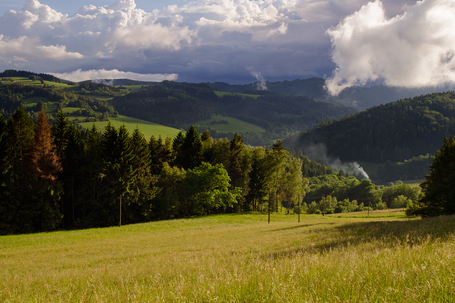 Videčské Paseky, 5/2014