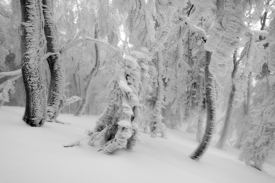 Kněhyně, 3/2015