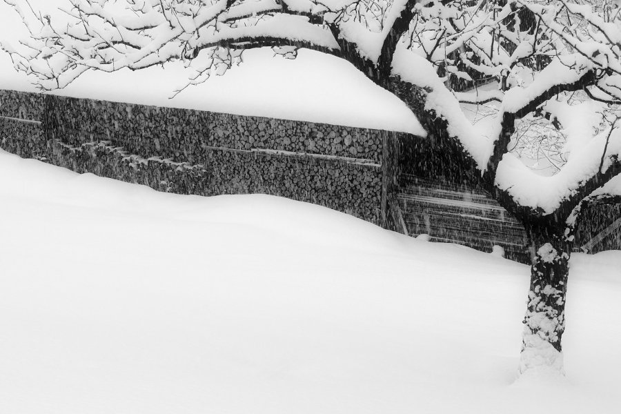 Valašská Polanka, 1/2012