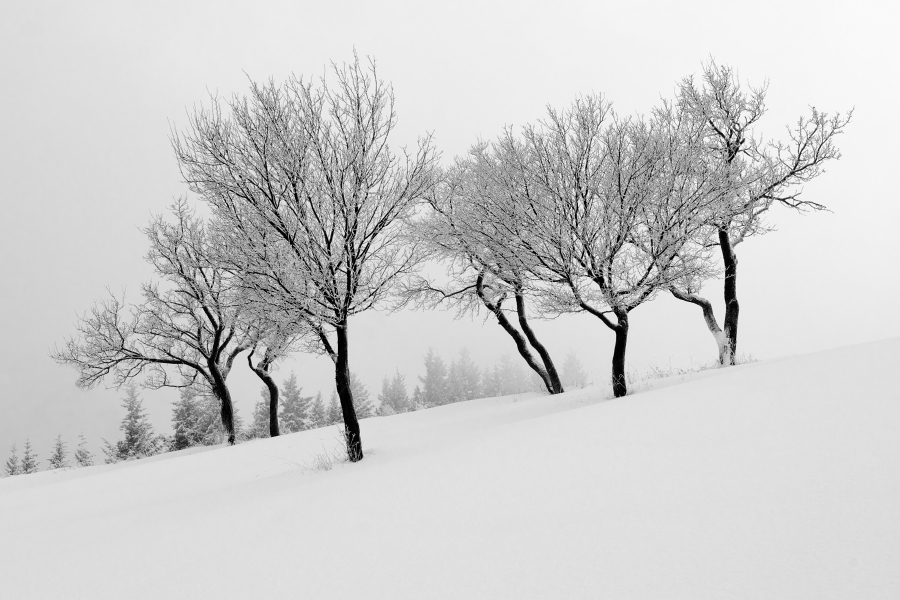 Valašská Polanka, 1/2012